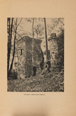 Девель Н.М. Царицыно. СПб.: Типография А.С. Суворина, 1910.